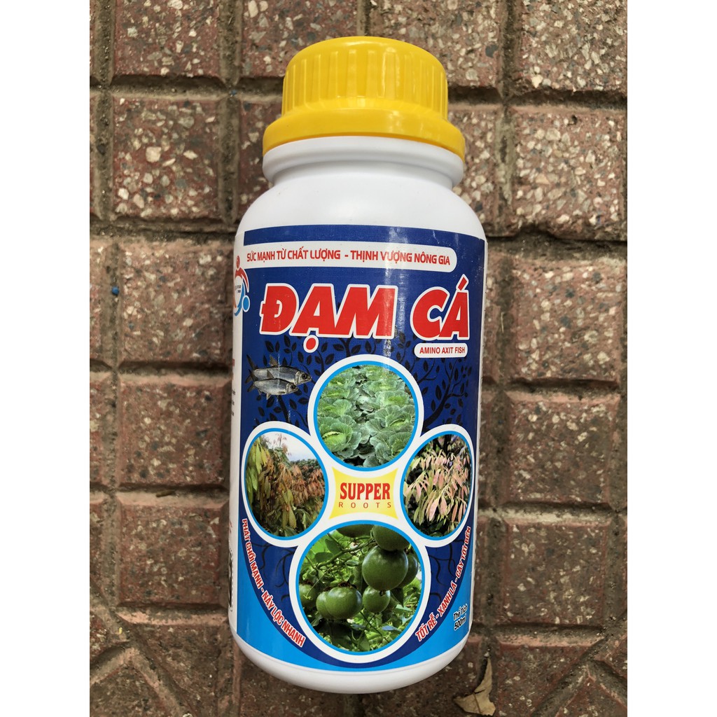 ĐẠM CÁ AMINO AXIT FISH