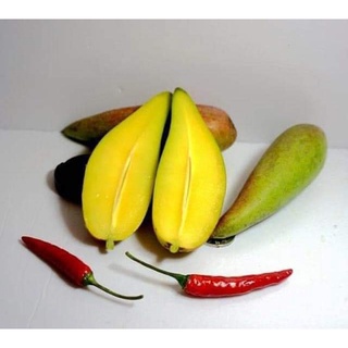 Cây giống xoài ớt tí hon