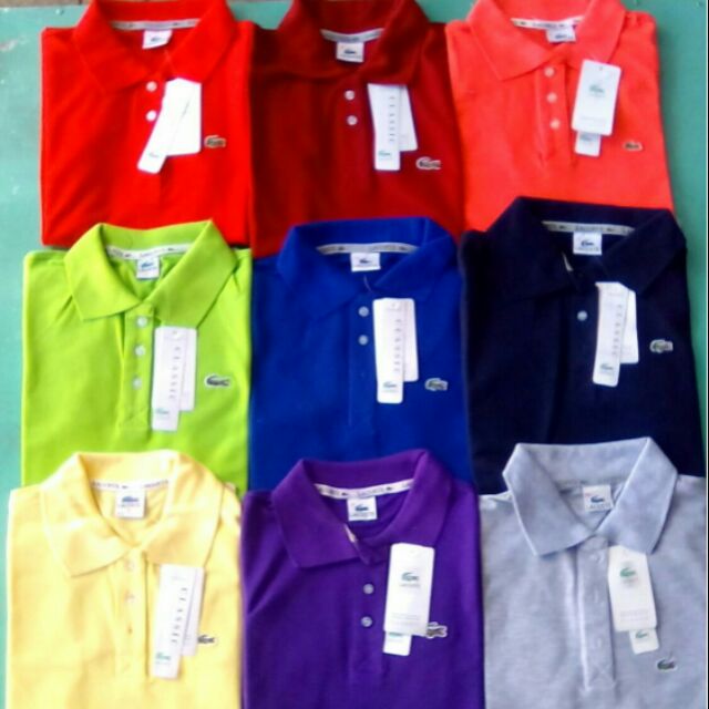 Áo thun cá sấu form nữ