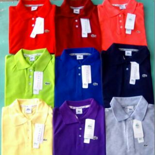 Áo thun cá sấu form nữ