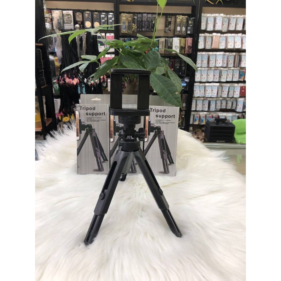 GẬY TRIPOD SUPPORT (Ảnh shop tự chụp)