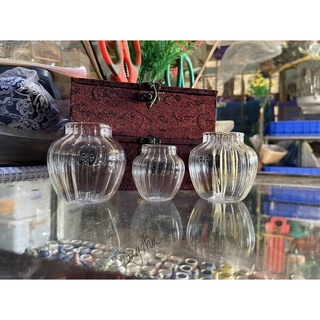 Cóng Thuỷ Tinh Hoạ Mi
