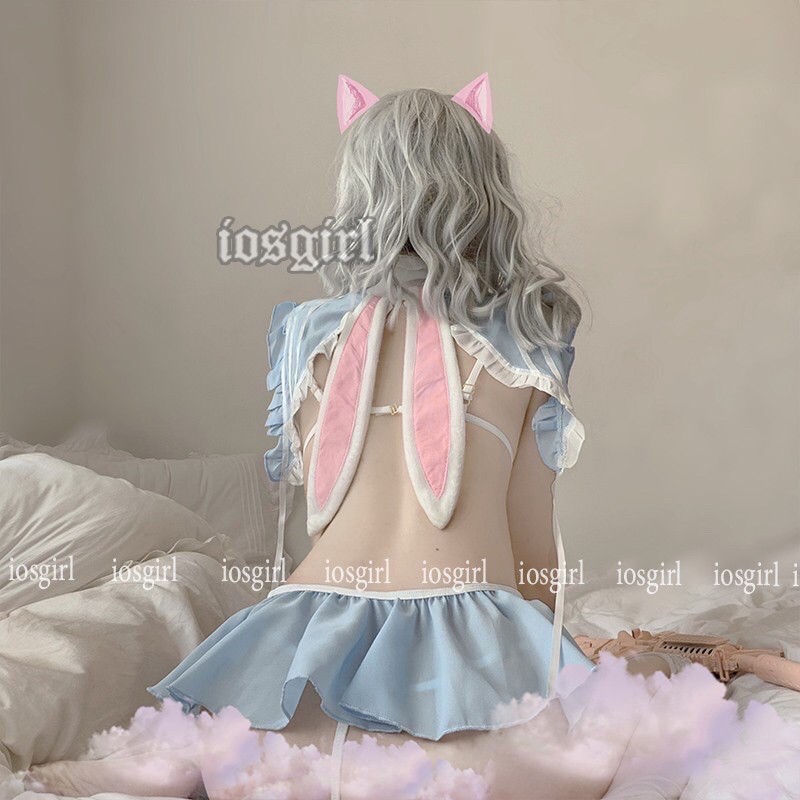 LL2378 Cosplay Thỏ Bunny Đáng Yêu /Cosplay Alice in wonderland - Dễ Thương | WebRaoVat - webraovat.net.vn