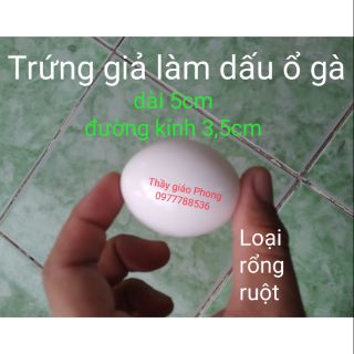 Trứng giả làm dấu ổ gà nòi - màu trắng
