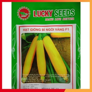 Hạt giống bí ngòi vàng - 10 hạt