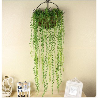 Chùm dây leo mây rừng xanh size lớn -  Trang trí nội thất, trang trí không gian sống và làm việc cực chất