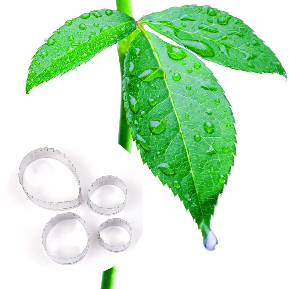 Set 4 Khuôn Cắt Bánh Hình Lá Hoa Hồng Bằng Thép Không Gỉ