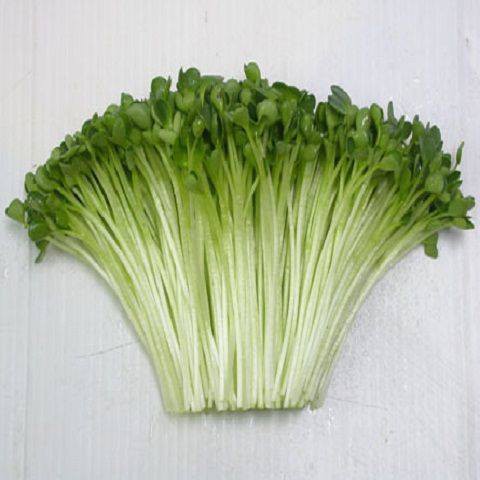 Hạt giống rau mầm Củ Cải Trắng 30gr, 50gr, 100gr