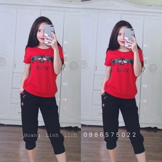 Bộ thun ong bé giảm giá 70000