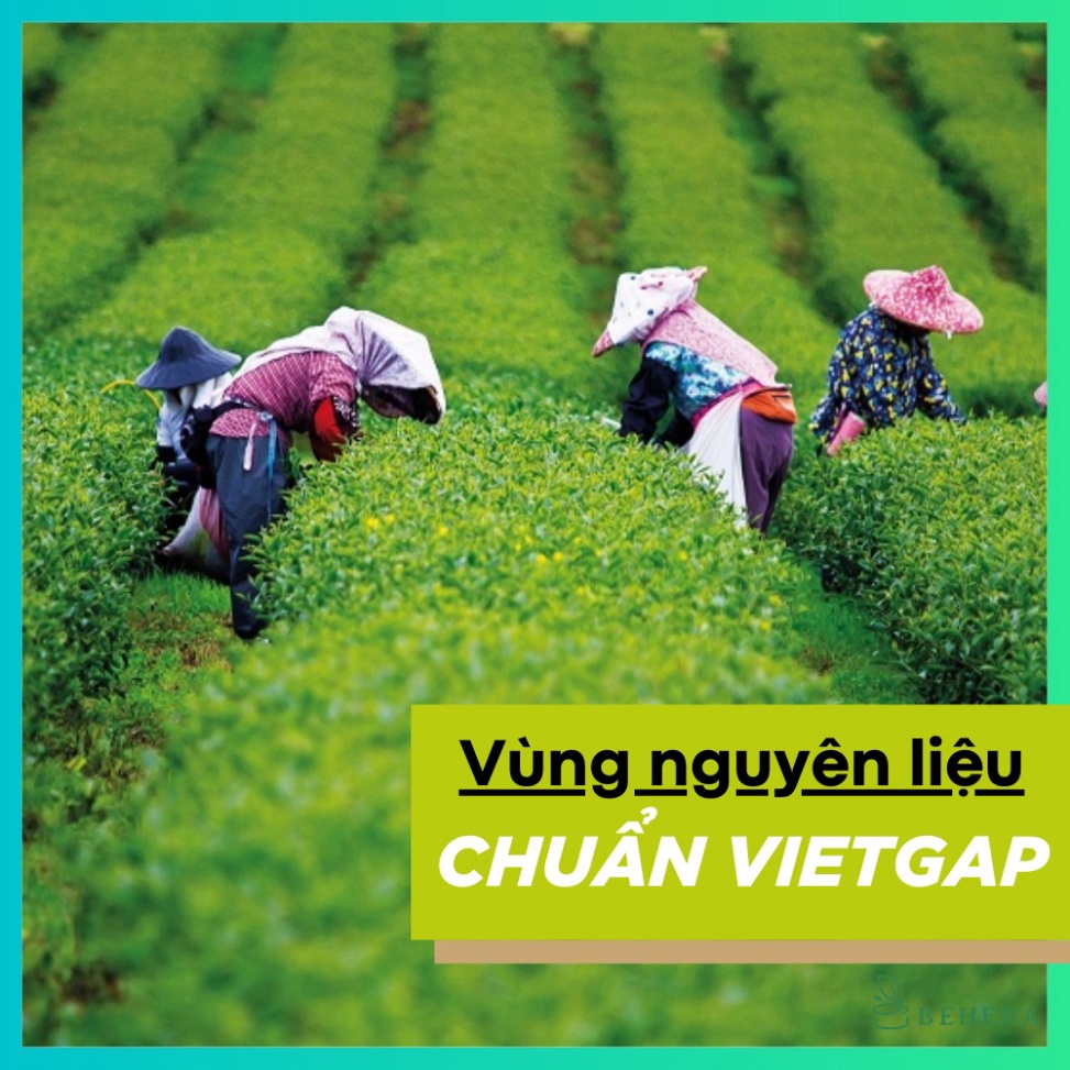 Bột Matcha Trà Xanh Behena 50g Chống Lão Hóa, Giảm Thâm Mụn, Làm Sạch Mụn, Dưỡng Trắng Da