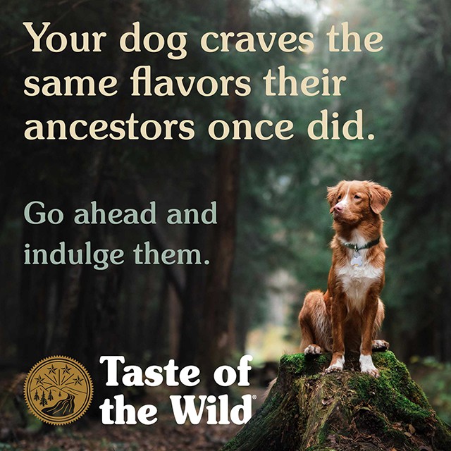 [Nhập Khẩu USA] Thức Ăn Cho Chó Poodle Taste Of The Wild Bao 2kg -  High Praire Bò Rừng & Nai Nướng, Trái Cây Rau Củ Quả