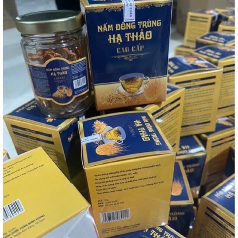 NẤM ĐÔNG TRÙNG HẠ THẢO CAO CẤP