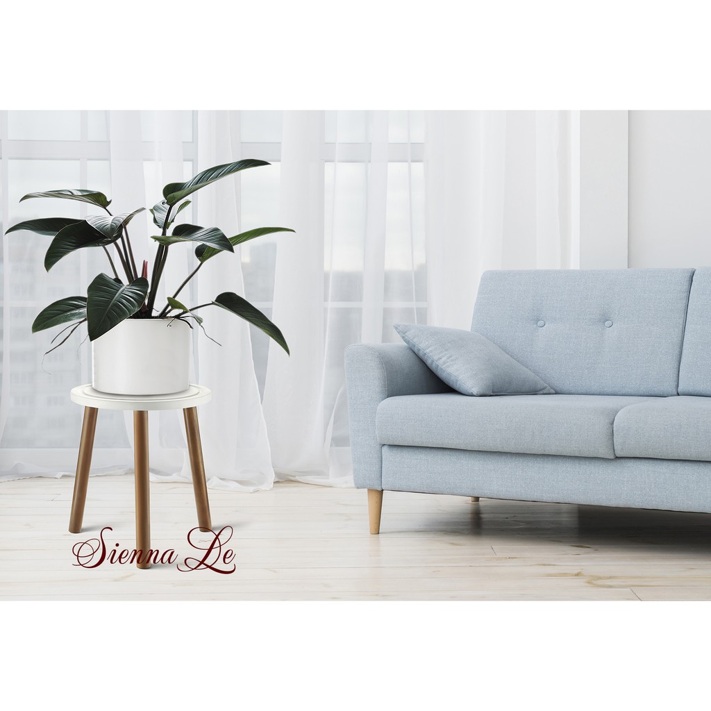 Sienna Le  Kệ Giá Tròn Nhỏ Đỡ Chậu Hoa Đôn Gỗ - Chân Tháo Rời Mặt Bàn Có Khoét Rãnh - Bàn Trà Bàn Coffee 40x30cm