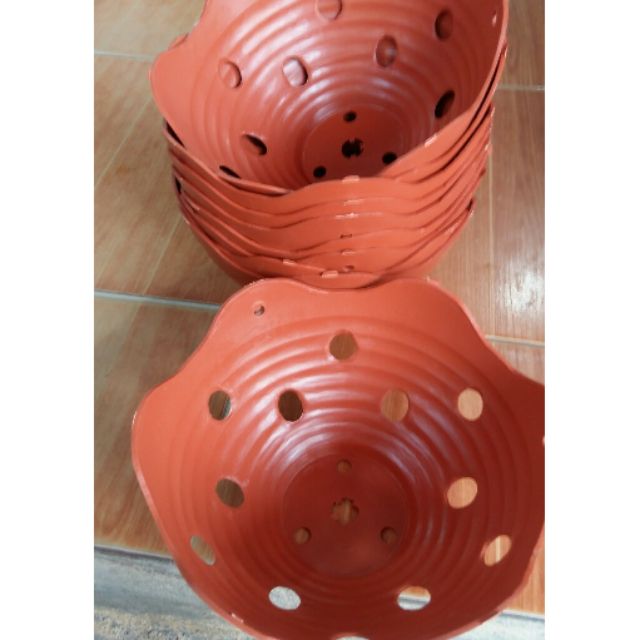 chậu trồng lan siêu Hót phi 23cm x12cm