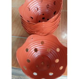 Chậu trồng lan siêu Hót phi 23cm x12cm