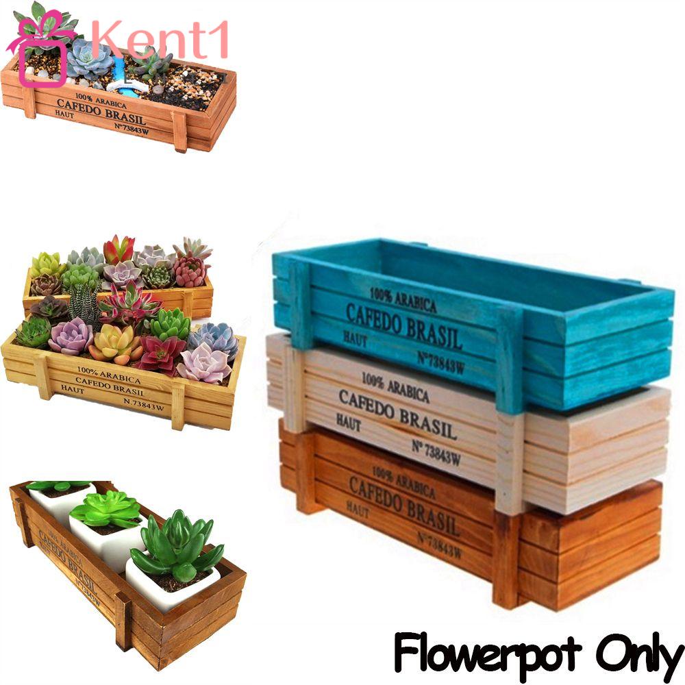 1 Hộp Gỗ Trồng Cây Sen Đá Trang Trí Sân Vườn