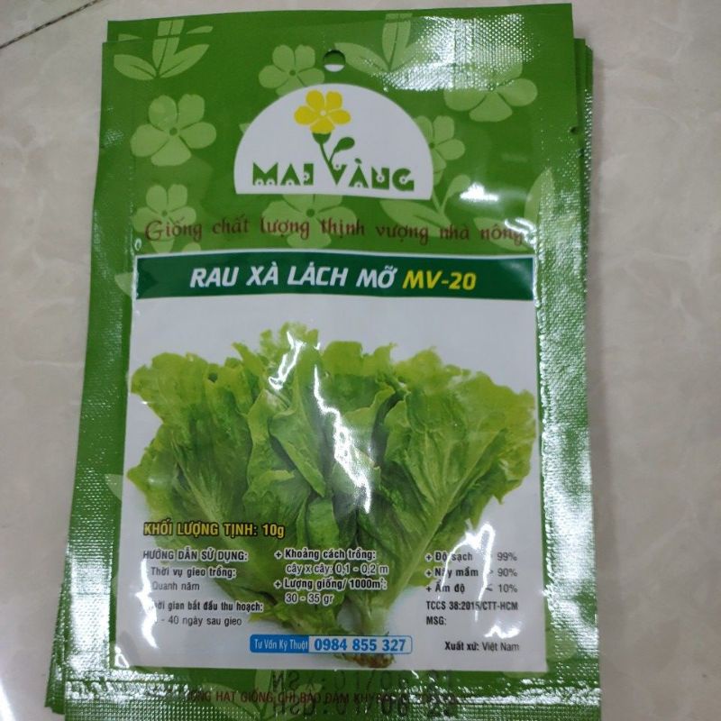 [Gói 10g] Hạt giống Xà Lách Mỡ dễ trồng, năng suất cao