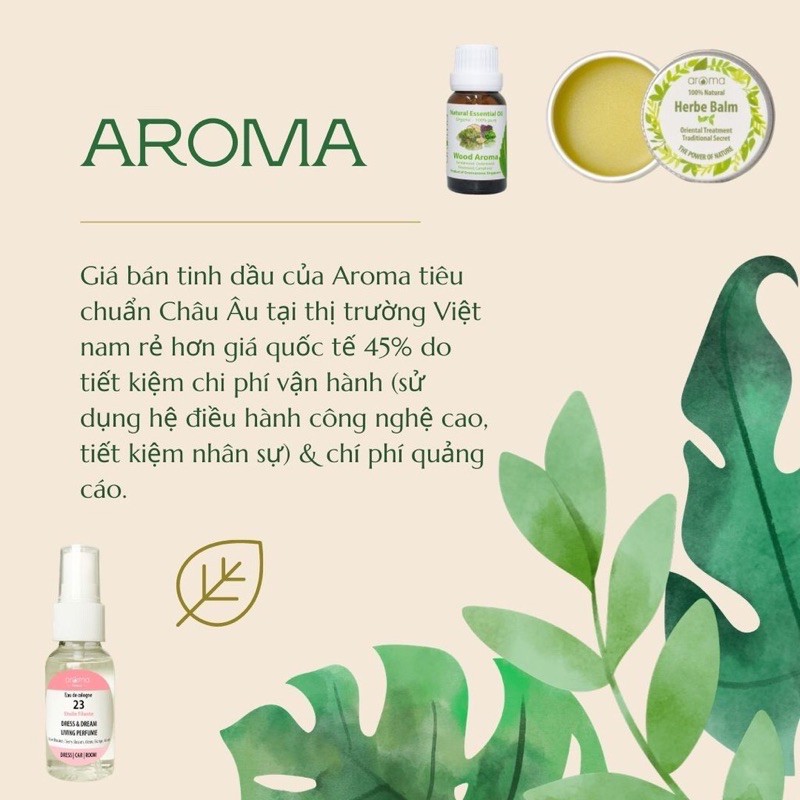 Tinh dầu xông Aroma Hồng Leo 💞 - Rose Tree 🌿