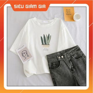 Áo thun nữ form rộng ⚡ [FREESHIP] ⚡ chất đẹp và mát, kết hợp với quần bò, quần short, dáng áo và họa tiết cực xinh