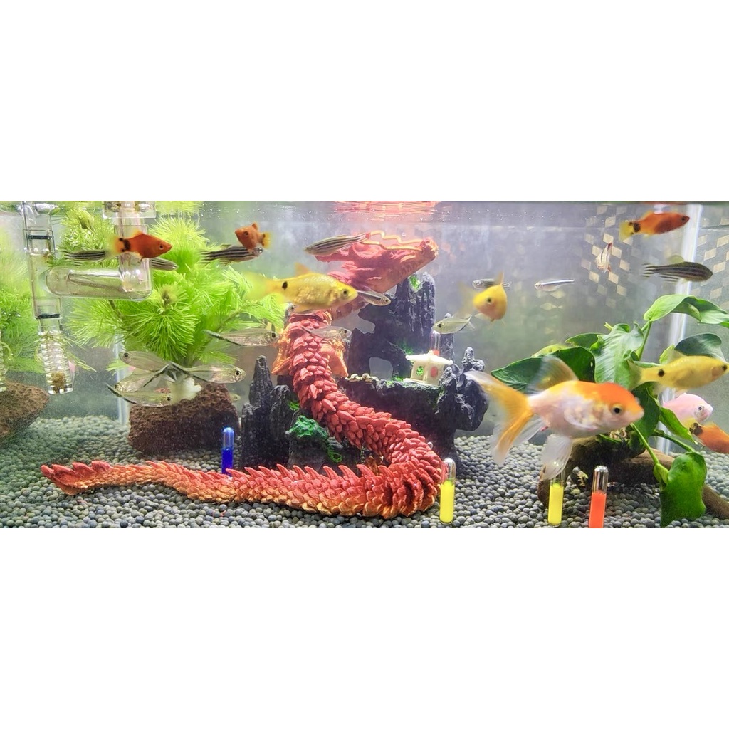 Trang Trí Hồ Cá Thủy Sinh Rồng 3D - Dragon