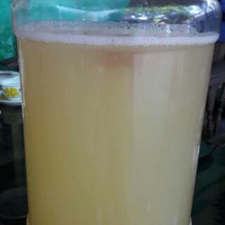 Dấm táo mèo 500ml