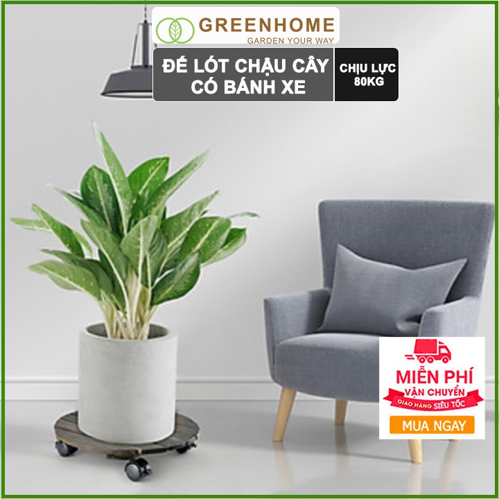 Đế lót chậu cây có bánh xe, hình tròn, màu đen, bằng gỗ, chịu lực 80kg, R30xC8cm |Greenhome