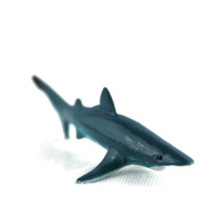 Mô hình cá mập vây xanh