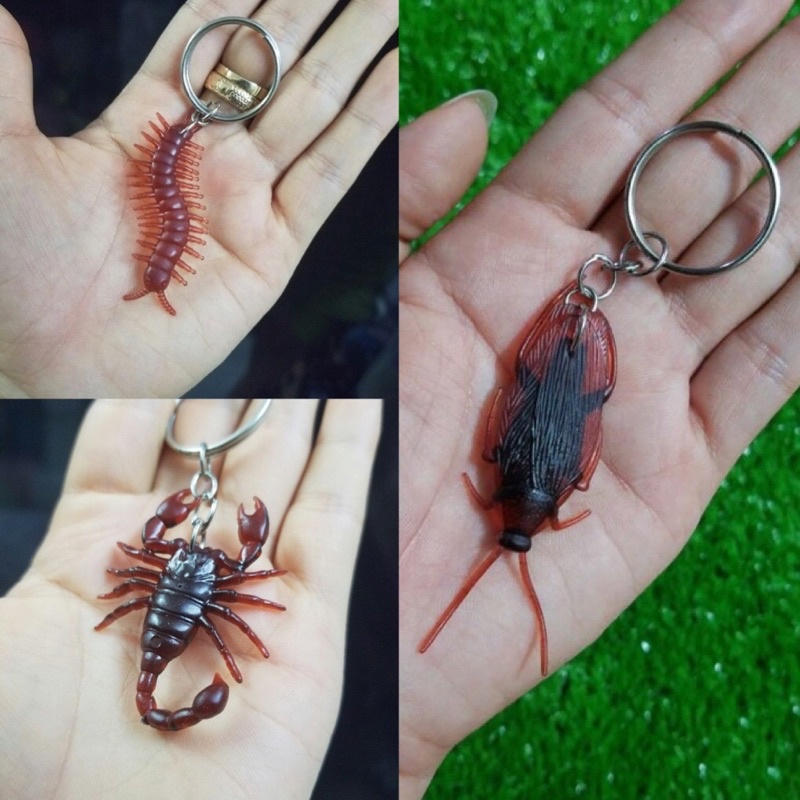 Móc khóa hình con gián như thật