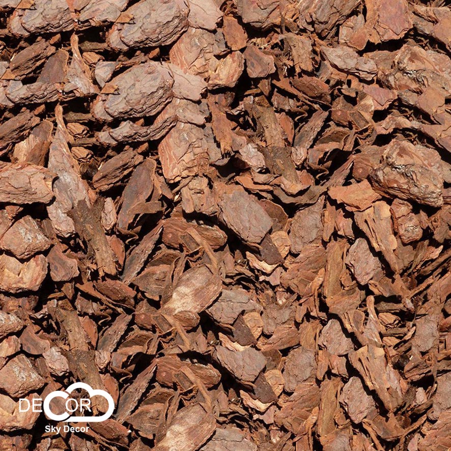 Vỏ thông khô Sky Decor phong cách vintage, cổ điển - Chụp ảnh phong cách mộc