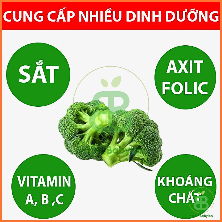 Hạt Giống Súp Lơ Xanh Giàu Dinh Dưỡng 0,5GR - Bông Cải Xanh