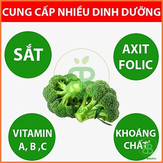 Hạt Giống Súp Lơ Xanh 0,2G