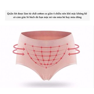 Quần lót cotton kháng khuẩn