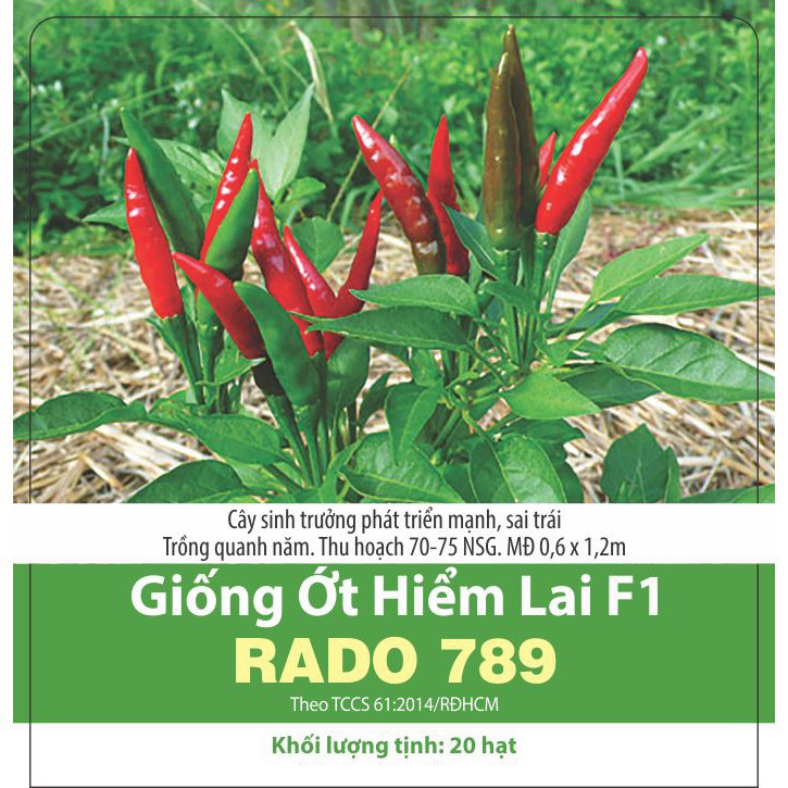 Hạt Giống Ớt Hiểm Lai Trái Chùm