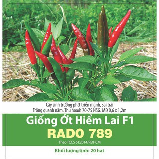 [ Rạng Đông] Hạt Giống Ớt Hiểm Lai F1 Rado 789 gói 0,2g (> 10 hạt)