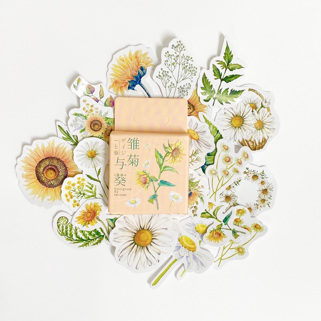 Hộp 45 sticker - STHM Stationery