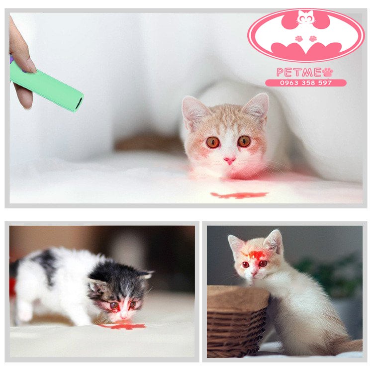 Đồ chơi cho mèo, đồ chơi laser an toàn cho thú cưng (tùy chọn mẫu) - PETMEO