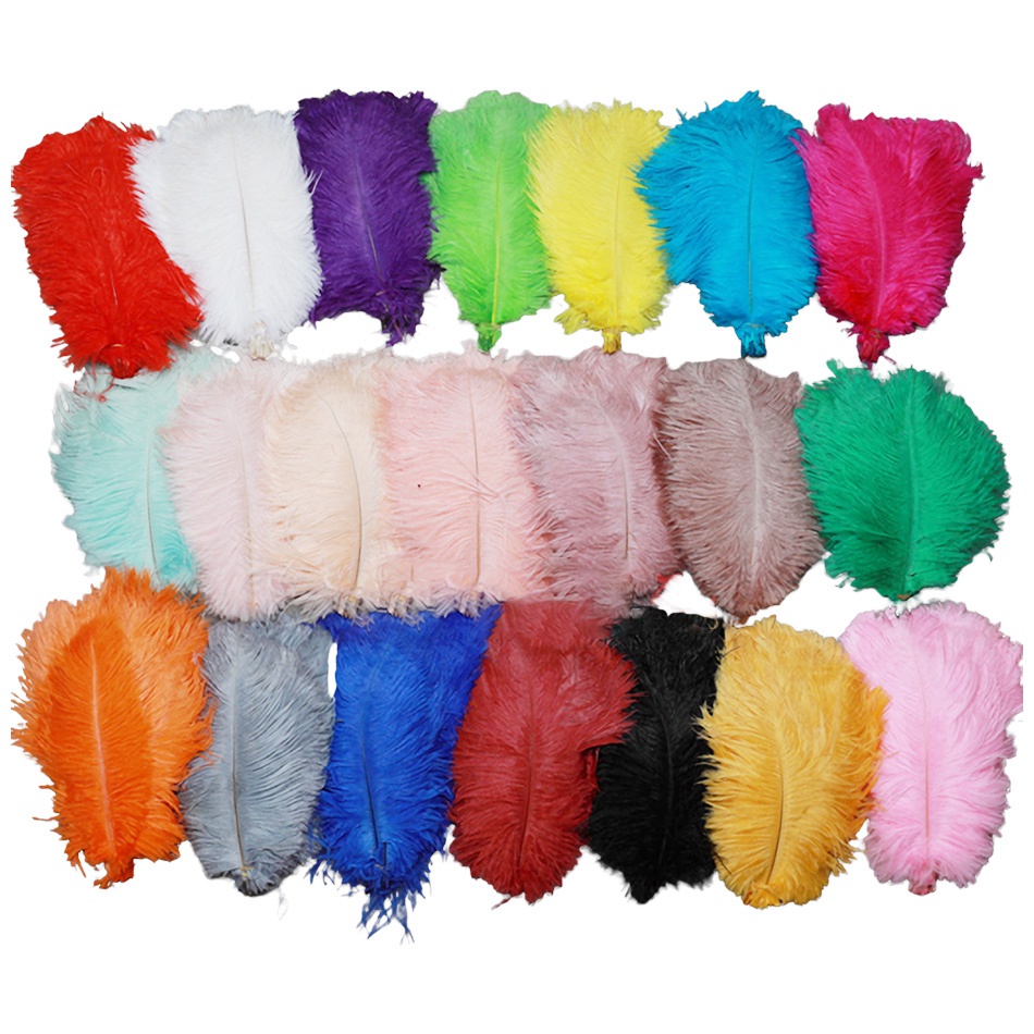 Set 10 Lông Đà Điểu 15-20cm Nhiều Màu Sắc Dùng Để Trang Trí Tiệc Cưới