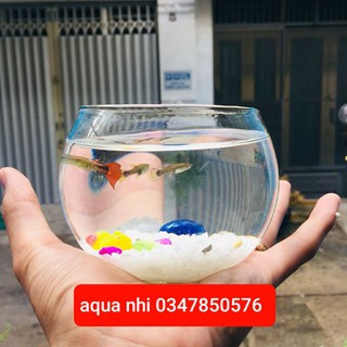 Bể cá tròn mini để bàn.Tặng thêm phụ kiên.
