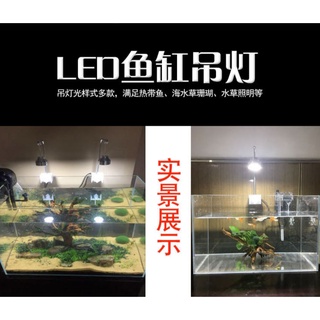 đèn bể cá , Đèn led treo