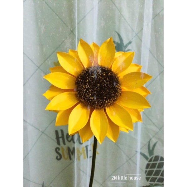 Đầu bông hướng dương giấy