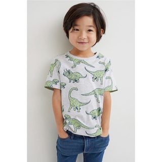 Áo khủng long xám HM Size 2-4y