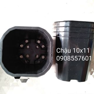 Chậu nhựa 10x11 vuông (COMBO 10 CÁI)