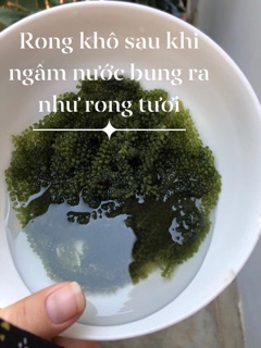Rong nho muối