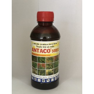 Antaco 500ec 450ml - diệt cỏ mẫm hoạt chất mới