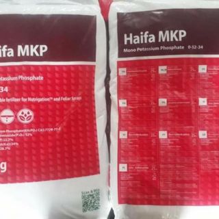 1kg phân bón MKP nhập khẩu isarel