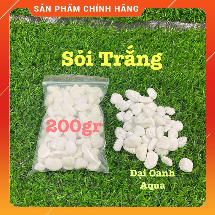 Sỏi Trắng Trang Trí Bể Cá, Chậu Cây 200 Gram