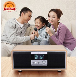Loa Bluetooth hoặc làm Dàn Karaoke Mini Sansui Nhật bản gia đình (kèm 2 Micro) - Âm thanh đẳng cấp nhà giàu - 0025