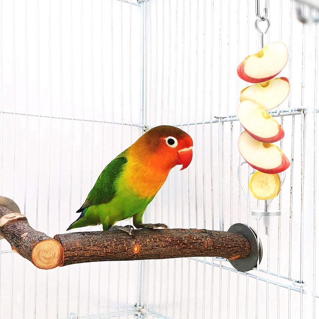 Giá Đỡ Thức Ăn Tiện Dụng Cho Chim Vẹt