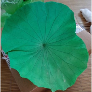 Lá sen sấy khô