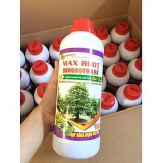 Phân bón max root chai 1lít cho mai vàng bung đọt ra rễ chuyên mai vàng - bung tược đẻ nhánh nhanh, xanh lá, dày lá